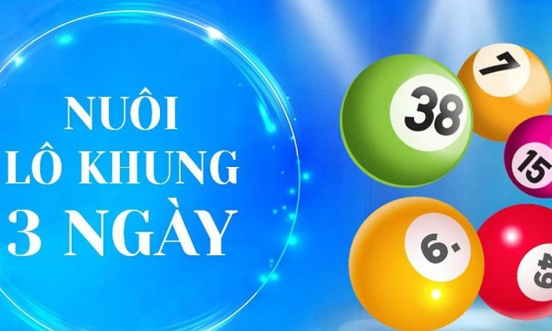 Nuôi lô khung 3 ngày