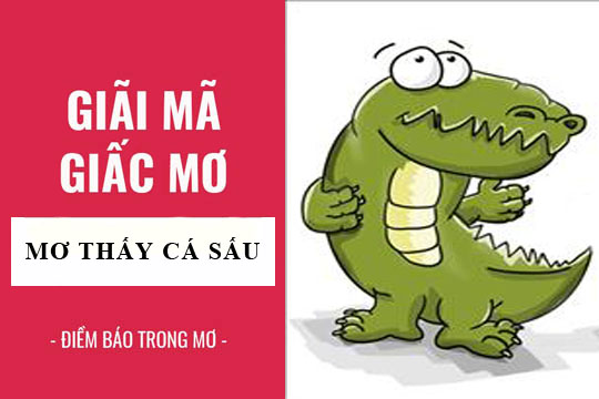 Ý nghĩa của giấc mơ thấy cá sấu