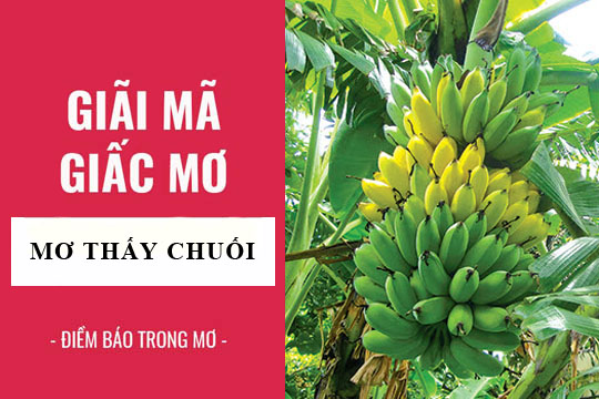 Giải mã giấc mơ thấy chuối chín