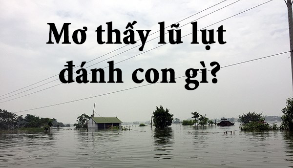 Mơ thấy lũ lụt đánh con gì?